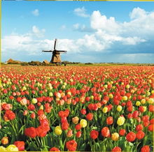 2012年旅游行業(yè)關(guān)鍵詞 玩得個性化最關(guān)鍵